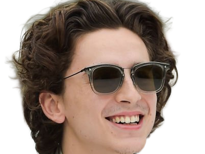 Sticker timothe chalamet acteur americain francais cinema homme vingtenaire vingtaine cheveux bruns cheveux boucles yeux verts 2019 par Dark-63