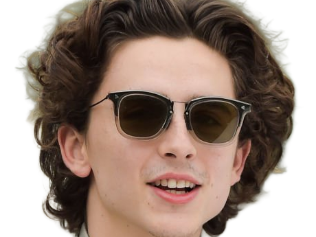 timothe chalamet acteur americain francais cinema homme vingtenaire vingtaine cheveux-bruns cheveux-boucles yeux-verts 2019
