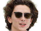 timothe-chalamet-acteur-americain-francais-cinema-homme-vingtenaire-vingtaine-cheveux-bruns-cheveux-boucles-yeux-verts-2019