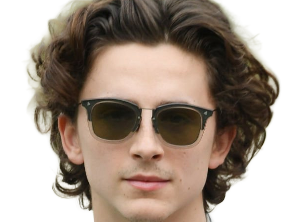timothe chalamet acteur americain francais cinema homme vingtenaire vingtaine cheveux-bruns cheveux-boucles yeux-verts 2019