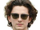 timothe-chalamet-acteur-americain-francais-cinema-homme-vingtenaire-vingtaine-cheveux-bruns-cheveux-boucles-yeux-verts-2019