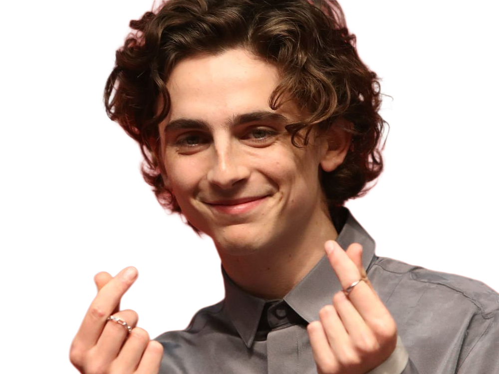 timothe chalamet acteur americain francais cinema homme vingtenaire vingtaine cheveux-bruns cheveux-boucles yeux-verts 2019