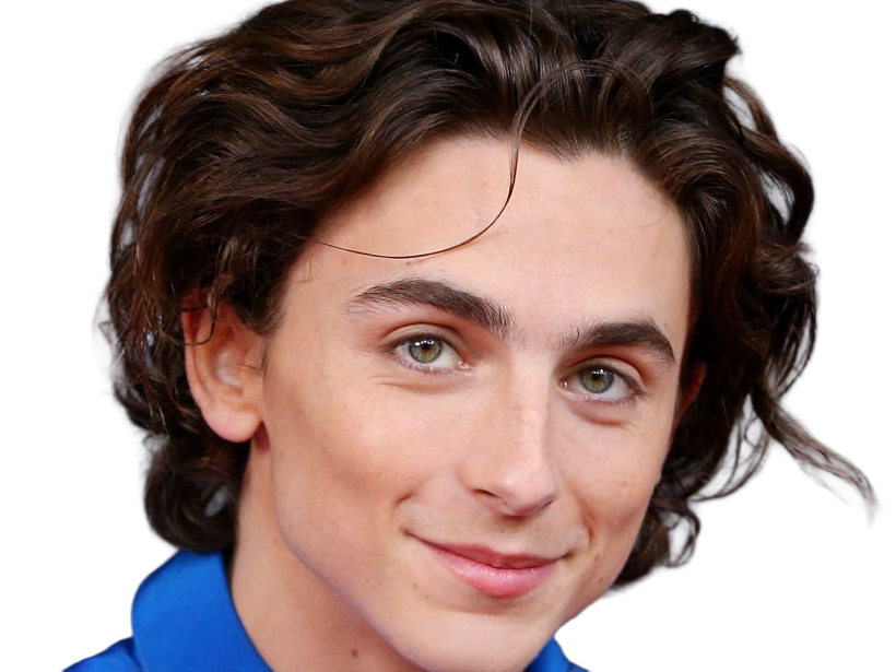 timothe chalamet acteur americain francais cinema homme vingtenaire vingtaine cheveux-bruns cheveux-boucles yeux-verts 2019