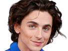 timothe-chalamet-acteur-americain-francais-cinema-homme-vingtenaire-vingtaine-cheveux-bruns-cheveux-boucles-yeux-verts-2019