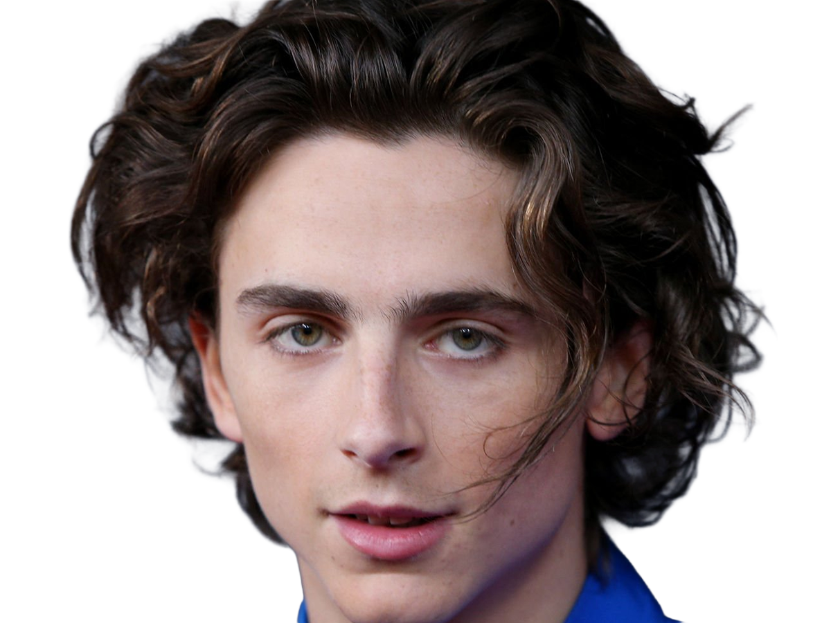 timothe chalamet acteur americain francais cinema homme vingtenaire vingtaine cheveux-bruns cheveux-boucles yeux-verts 2019