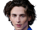 timothe-chalamet-acteur-americain-francais-cinema-homme-vingtenaire-vingtaine-cheveux-bruns-cheveux-boucles-yeux-verts-2019