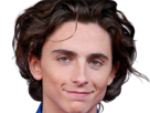 timothe-chalamet-acteur-americain-francais-cinema-homme-vingtenaire-vingtaine-cheveux-bruns-cheveux-boucles-yeux-verts-2019