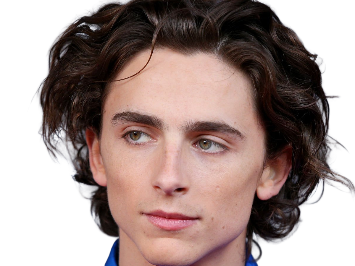 timothe chalamet acteur americain francais cinema homme vingtenaire vingtaine cheveux-bruns cheveux-boucles yeux-verts 2019