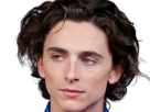timothe-chalamet-acteur-americain-francais-cinema-homme-vingtenaire-vingtaine-cheveux-bruns-cheveux-boucles-yeux-verts-2019