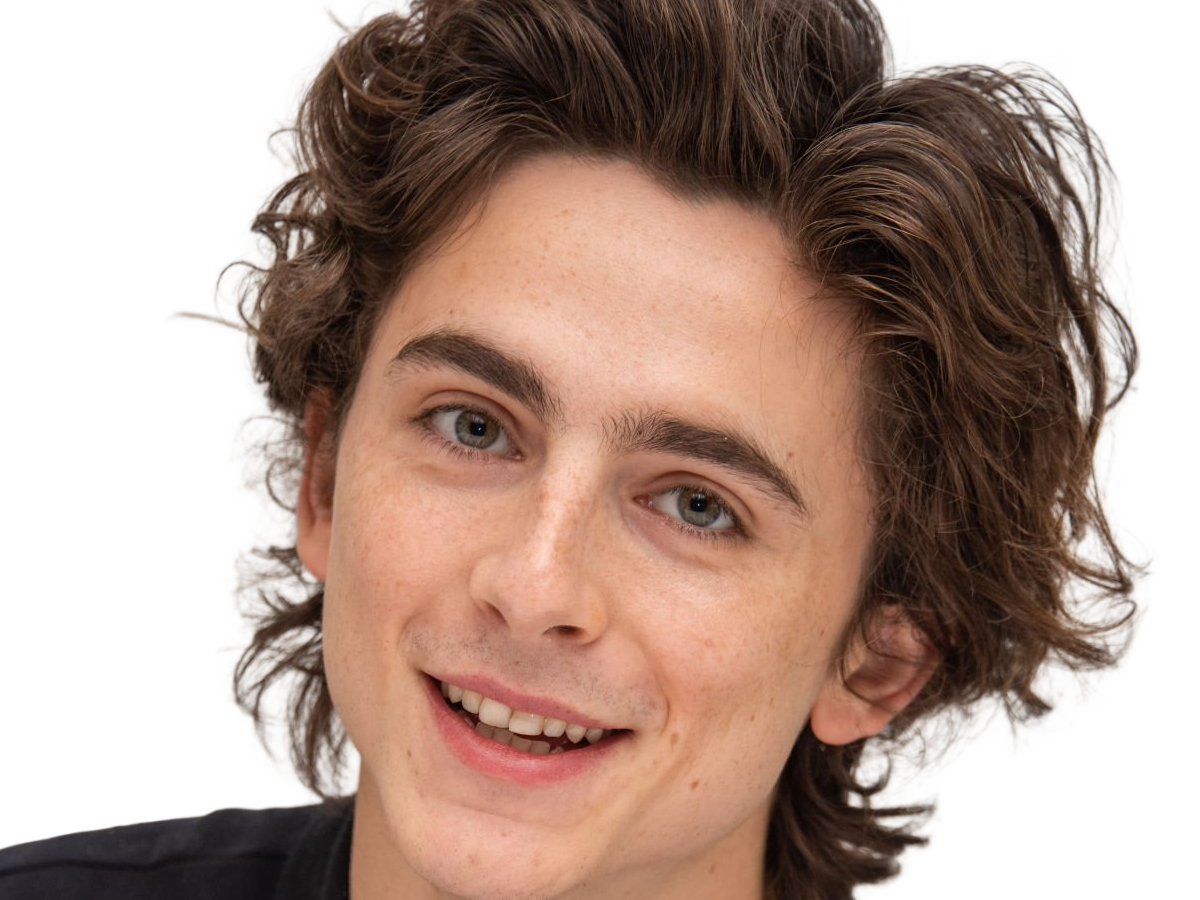 timothe chalamet acteur americain francais cinema homme vingtenaire vingtaine cheveux-bruns cheveux-boucles yeux-verts 2019