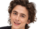 timothe-chalamet-acteur-americain-francais-cinema-homme-vingtenaire-vingtaine-cheveux-bruns-cheveux-boucles-yeux-verts-2019