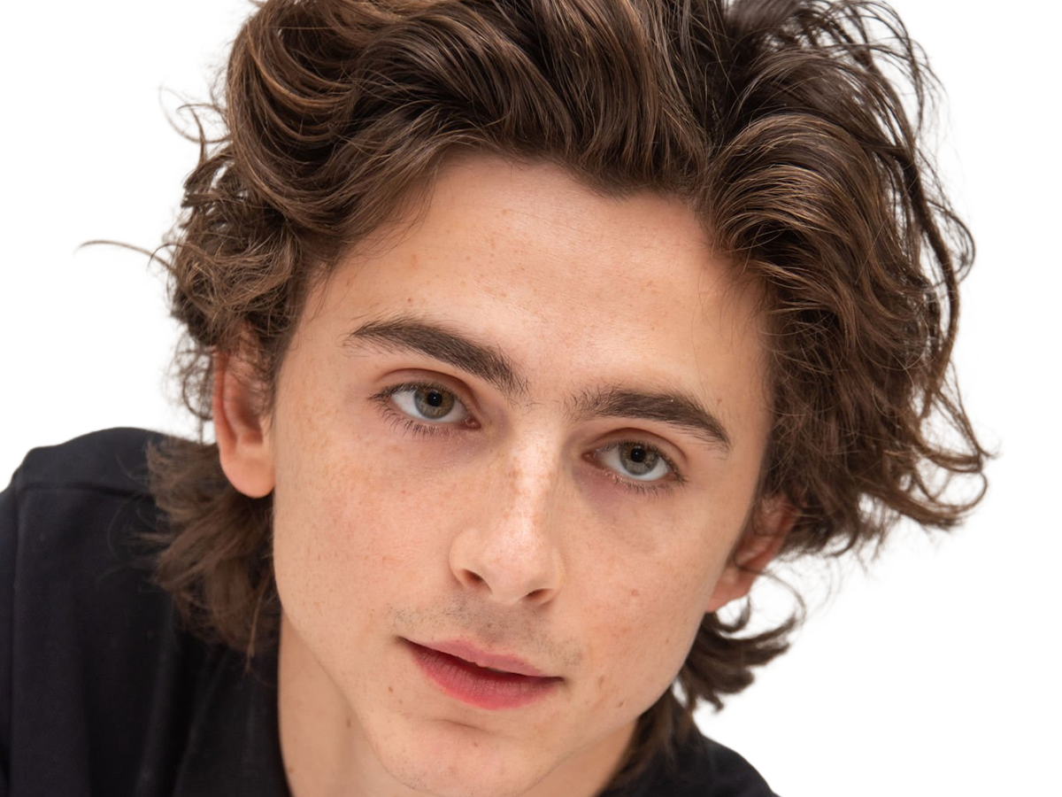 timothe chalamet acteur americain francais cinema homme vingtenaire vingtaine cheveux-bruns cheveux-boucles yeux-verts 2019
