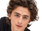 timothe-chalamet-acteur-americain-francais-cinema-homme-vingtenaire-vingtaine-cheveux-bruns-cheveux-boucles-yeux-verts-2019