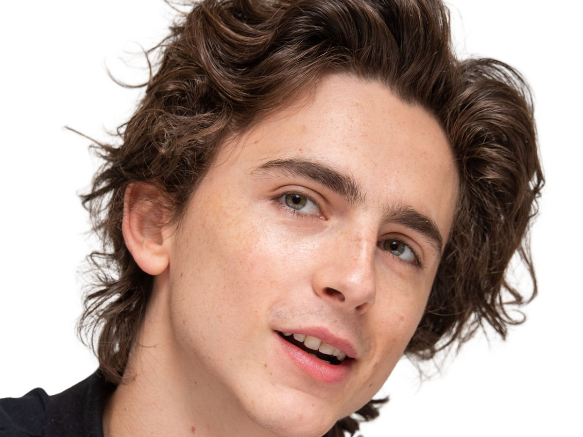 timothe chalamet acteur americain francais cinema homme vingtenaire vingtaine cheveux-bruns cheveux-boucles yeux-verts 2019