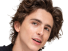 timothe-chalamet-acteur-americain-francais-cinema-homme-vingtenaire-vingtaine-cheveux-bruns-cheveux-boucles-yeux-verts-2019
