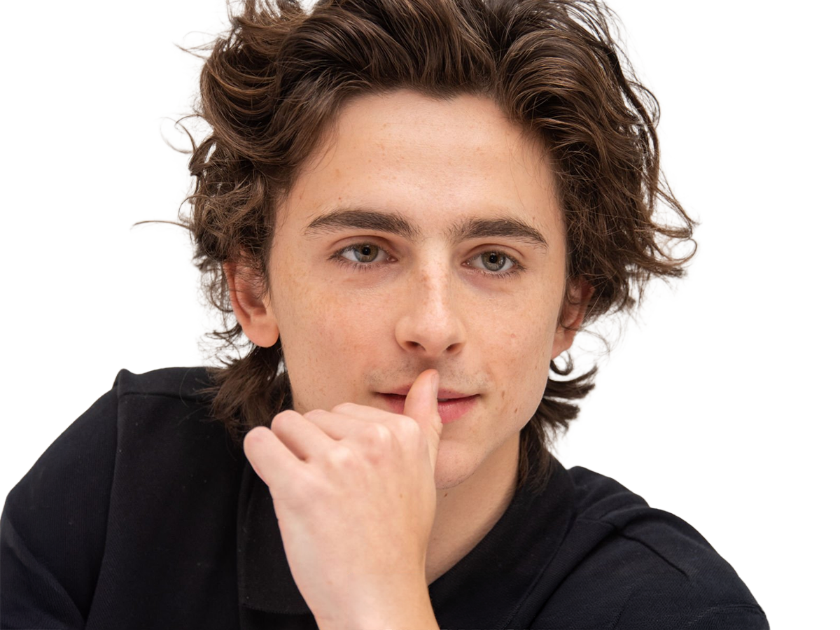 Sticker timothe chalamet acteur americain francais cinema homme vingtenaire vingtaine cheveux bruns cheveux boucles yeux verts 2019 par Dark-63