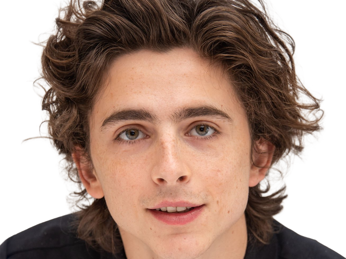 timothe chalamet acteur americain francais cinema homme vingtenaire vingtaine cheveux-bruns cheveux-boucles yeux-verts 2019