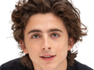 timothe-chalamet-acteur-americain-francais-cinema-homme-vingtenaire-vingtaine-cheveux-bruns-cheveux-boucles-yeux-verts-2019