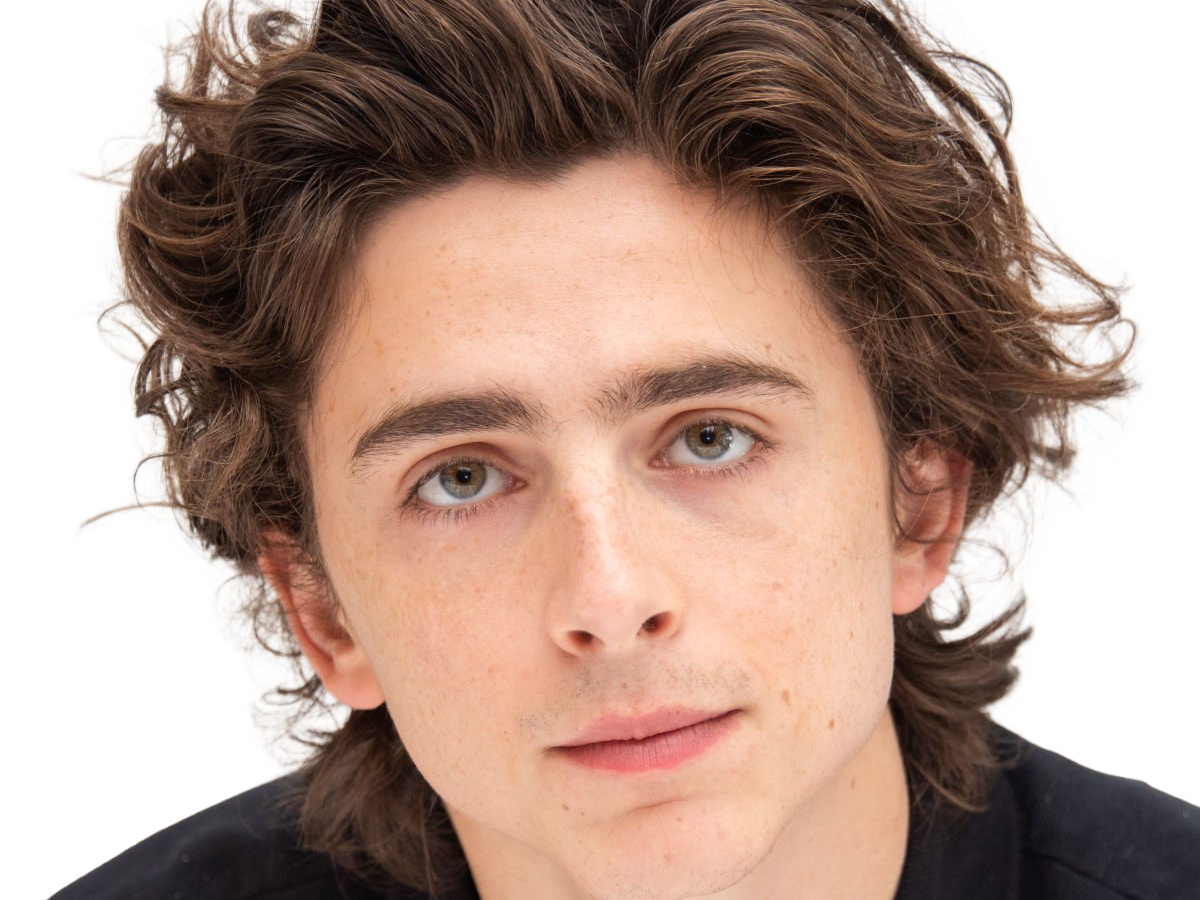 timothe chalamet acteur americain francais cinema homme vingtenaire vingtaine cheveux-bruns cheveux-boucles yeux-verts 2019