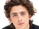timothe-chalamet-acteur-americain-francais-cinema-homme-vingtenaire-vingtaine-cheveux-bruns-cheveux-boucles-yeux-verts-2019