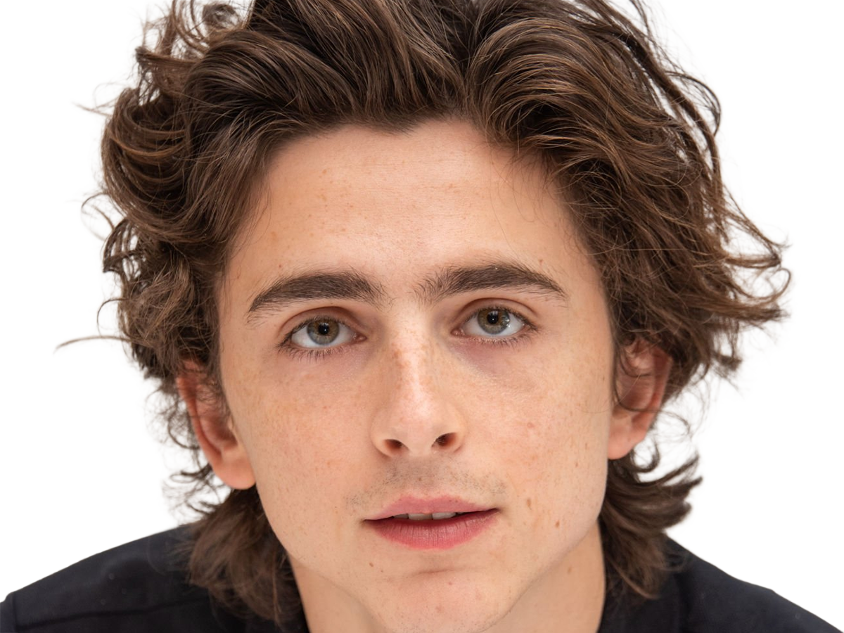 timothe chalamet acteur americain francais cinema homme vingtenaire vingtaine cheveux-bruns cheveux-boucles yeux-verts 2019