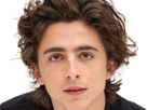 timothe-chalamet-acteur-americain-francais-cinema-homme-vingtenaire-vingtaine-cheveux-bruns-cheveux-boucles-yeux-verts-2019