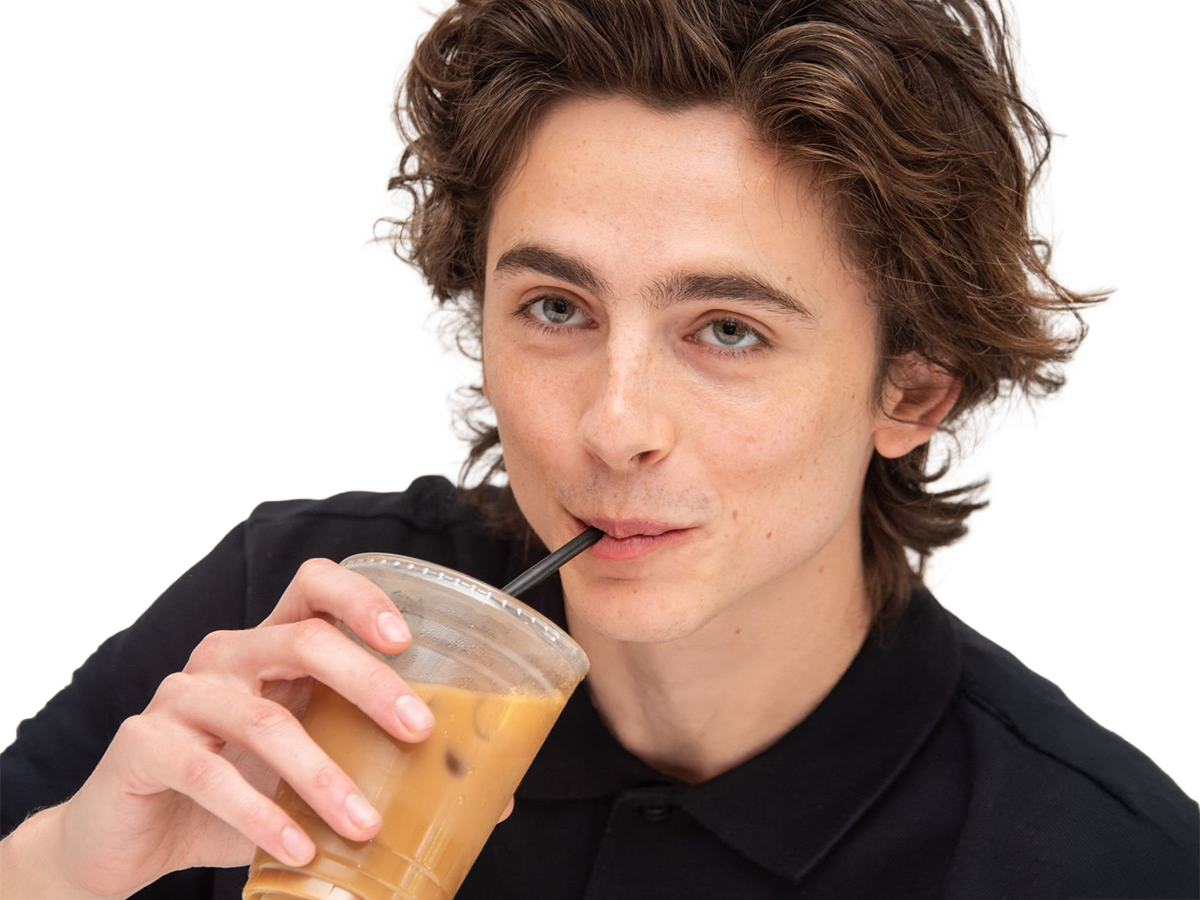 timothe chalamet acteur americain francais cinema homme vingtenaire vingtaine cheveux-bruns cheveux-boucles yeux-verts 2019