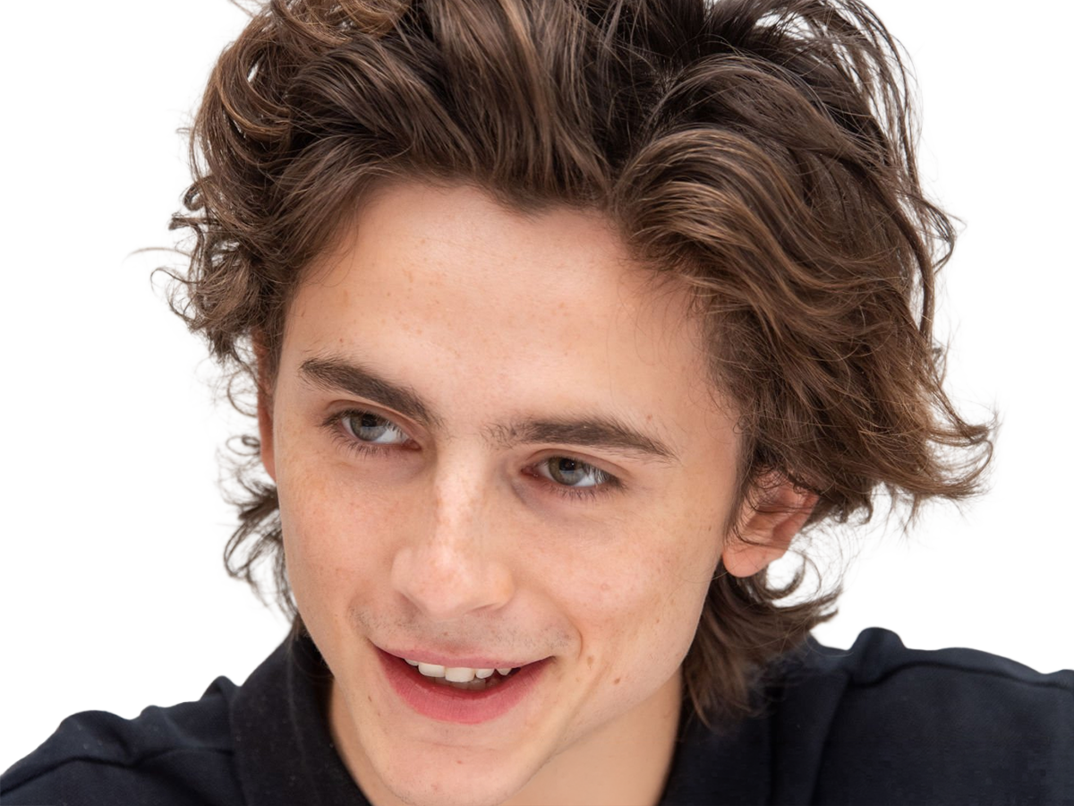 Sticker timothe chalamet acteur americain francais cinema homme vingtenaire vingtaine cheveux bruns cheveux boucles yeux verts 2019 par Dark-63