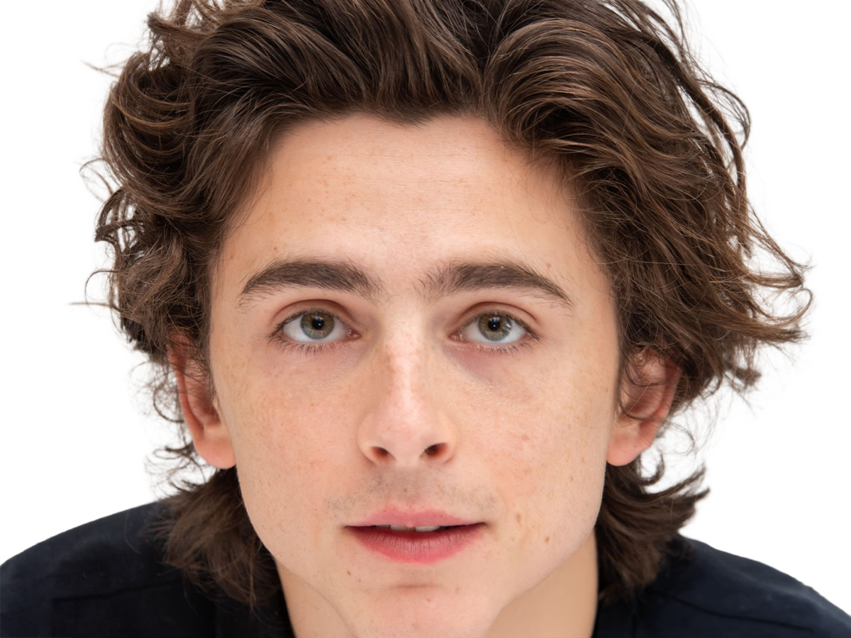 timothe chalamet acteur americain francais cinema homme vingtenaire vingtaine cheveux-bruns cheveux-boucles yeux-verts 2019