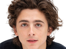 timothe-chalamet-acteur-americain-francais-cinema-homme-vingtenaire-vingtaine-cheveux-bruns-cheveux-boucles-yeux-verts-2019