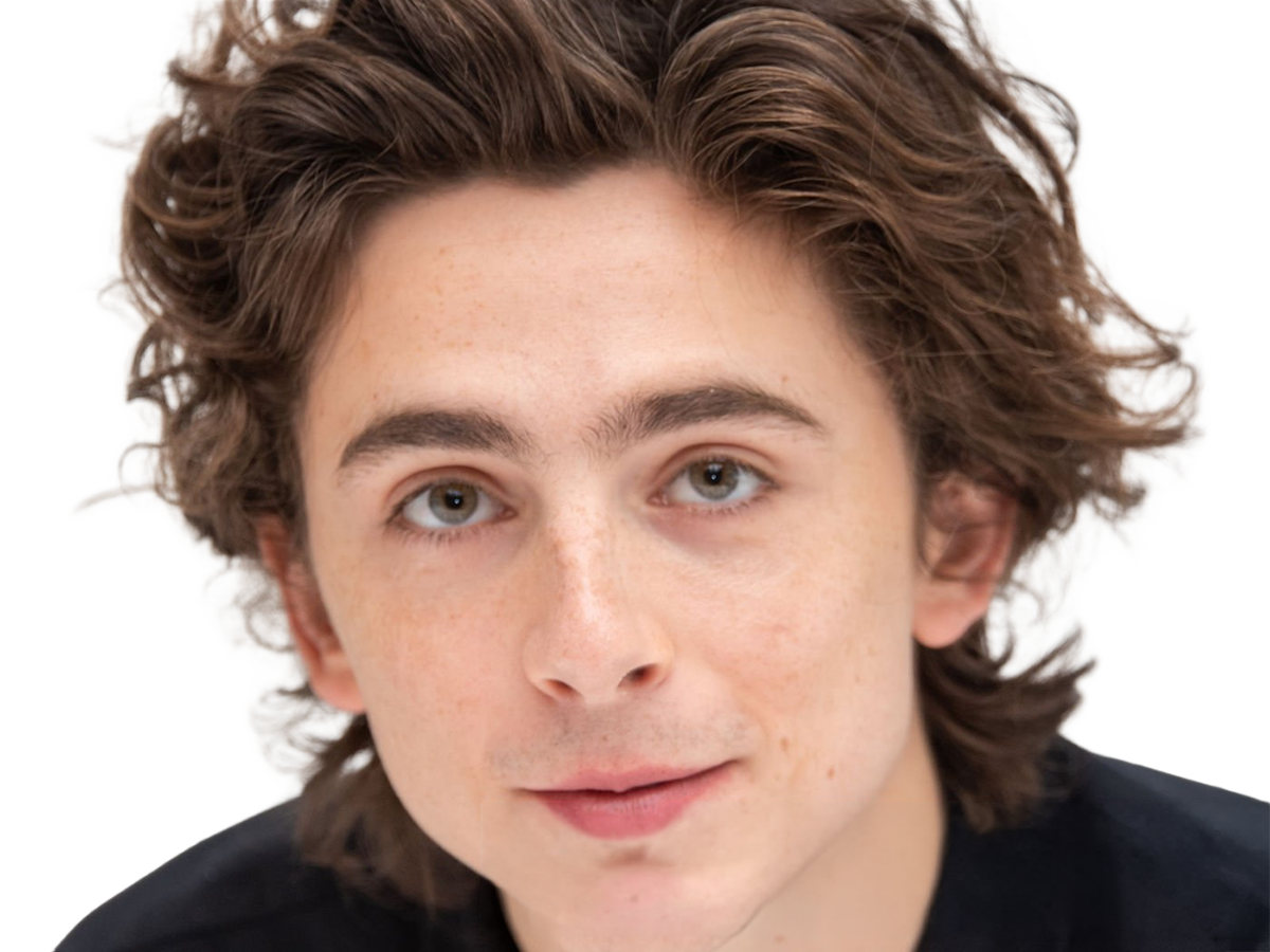 Sticker timothe chalamet acteur americain francais cinema homme vingtenaire vingtaine cheveux bruns cheveux boucles yeux verts 2019 par Dark-63