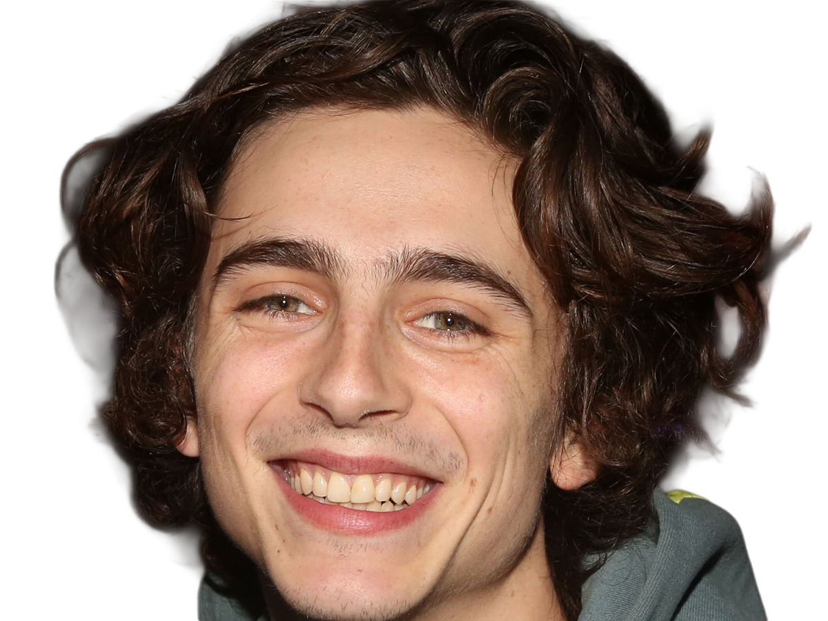 Sticker timothe chalamet acteur americain francais cinema homme vingtenaire vingtaine cheveux bruns cheveux boucles yeux verts 2019 par Dark-63