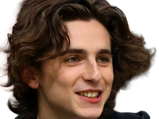timothe chalamet acteur americain francais cinema homme vingtenaire vingtaine cheveux-bruns cheveux-boucles yeux-verts 2019