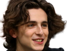 timothe-chalamet-acteur-americain-francais-cinema-homme-vingtenaire-vingtaine-cheveux-bruns-cheveux-boucles-yeux-verts-2019