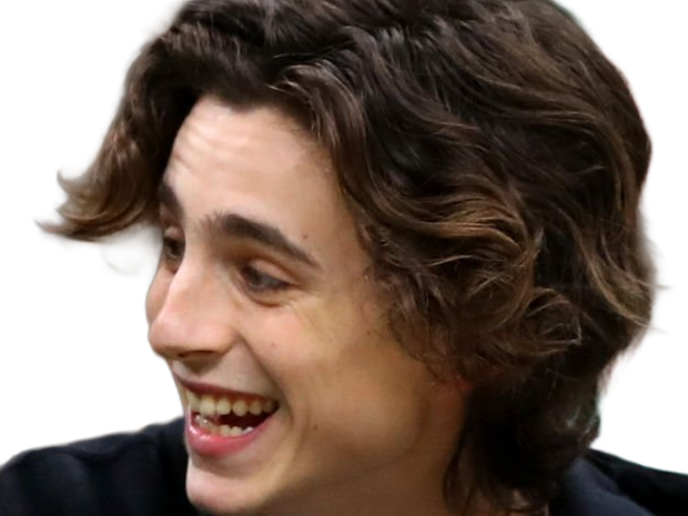 Sticker timothe chalamet acteur americain francais cinema homme vingtenaire vingtaine cheveux bruns cheveux boucles yeux verts 2019 par Dark-63