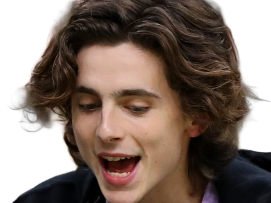 Sticker timothe chalamet acteur americain francais cinema homme vingtenaire vingtaine cheveux bruns cheveux boucles yeux verts 2019 par Dark-63