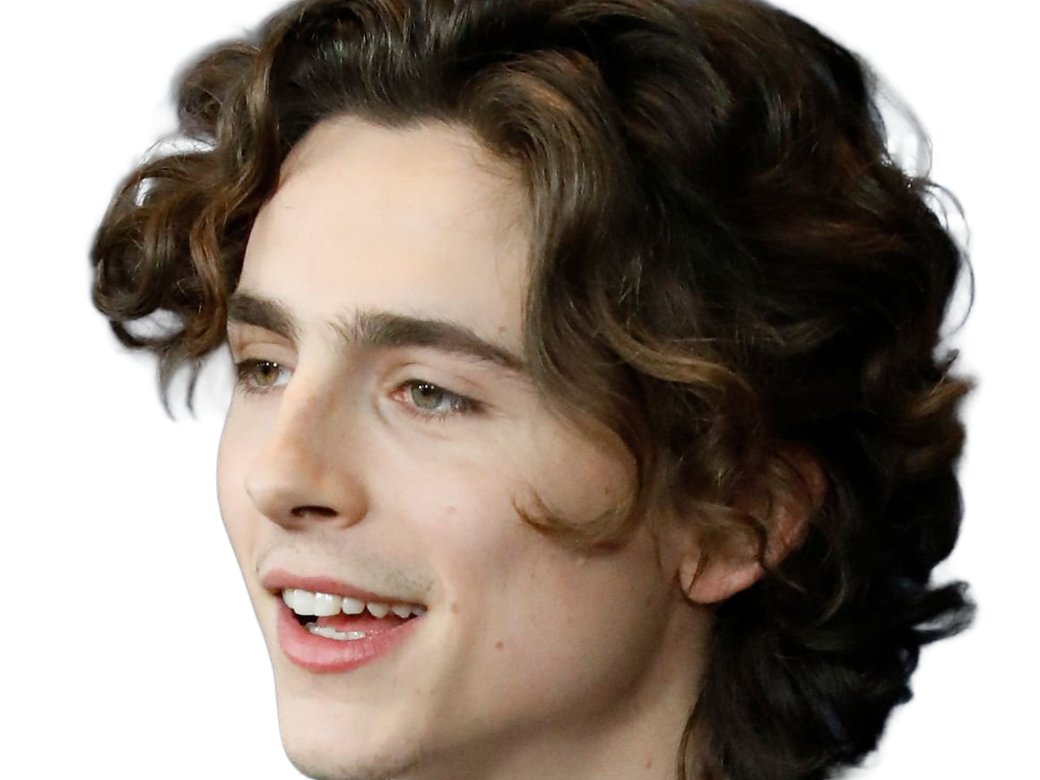 timothe chalamet acteur americain francais cinema homme vingtenaire vingtaine cheveux-bruns cheveux-boucles yeux-verts 2019
