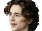 timothe-chalamet-acteur-americain-francais-cinema-homme-vingtenaire-vingtaine-cheveux-bruns-cheveux-boucles-yeux-verts-2019