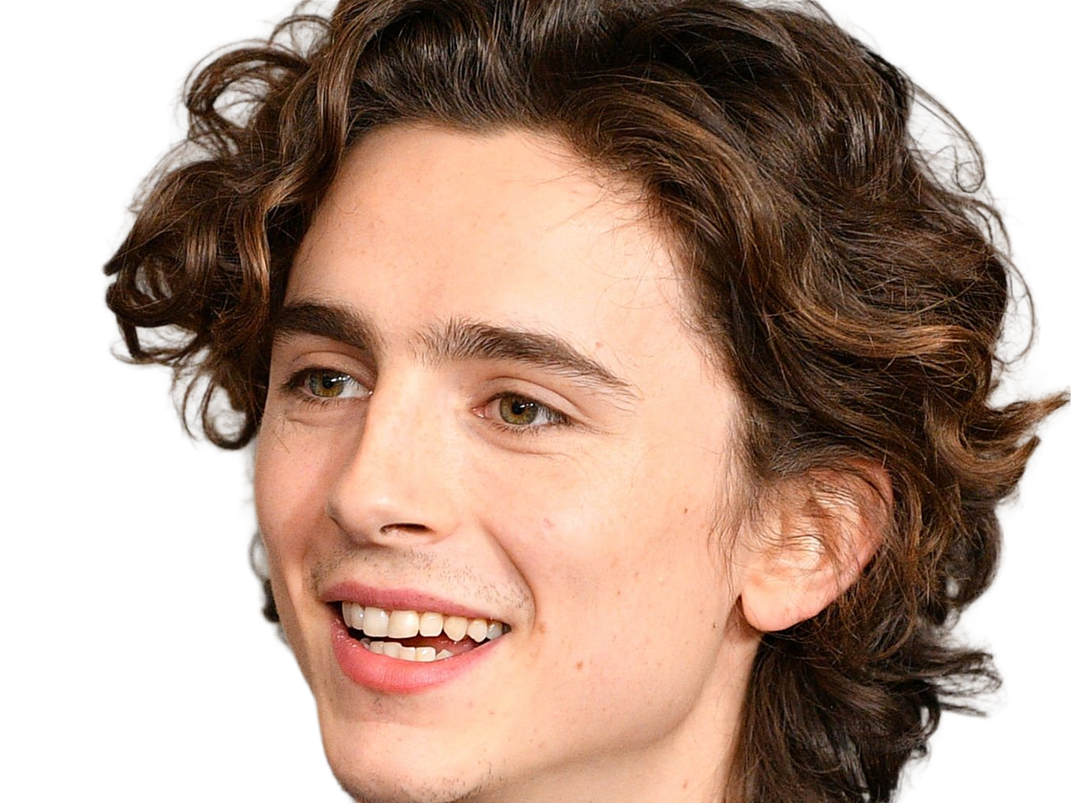 Sticker timothe chalamet acteur americain francais cinema homme vingtenaire vingtaine cheveux bruns cheveux boucles yeux verts 2019 par Dark-63