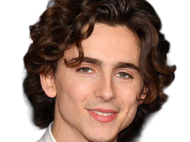 Sticker timothe chalamet acteur americain francais cinema homme vingtenaire vingtaine cheveux bruns cheveux boucles yeux verts 2019 par Dark-63