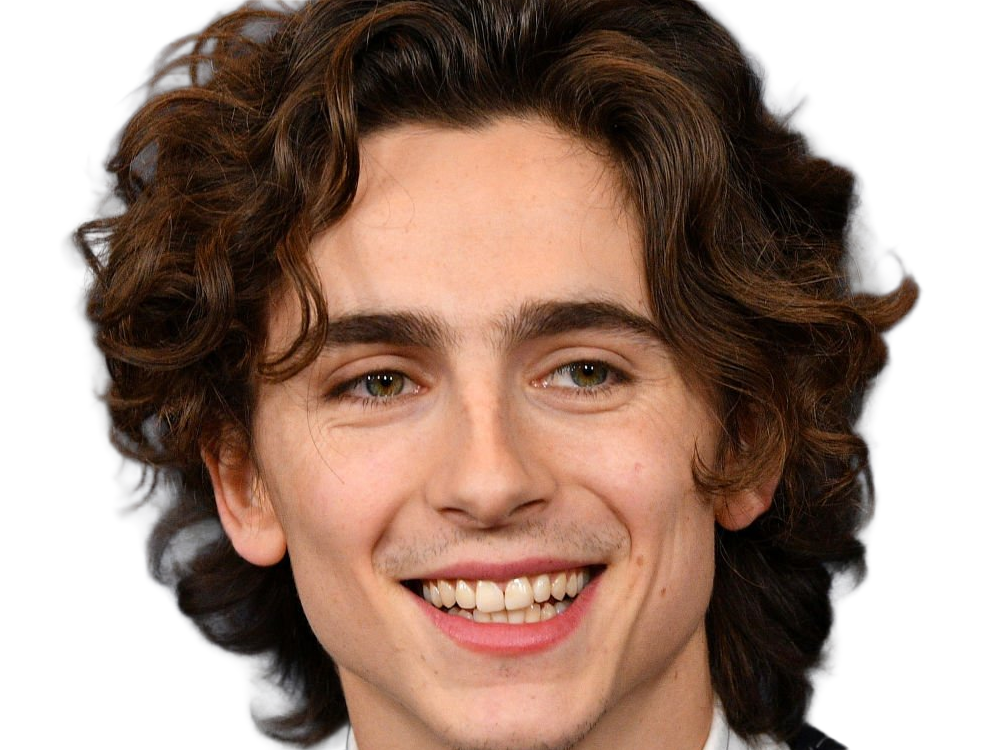 Sticker timothe chalamet acteur americain francais cinema homme vingtenaire vingtaine cheveux bruns cheveux boucles yeux verts 2019 par Dark-63