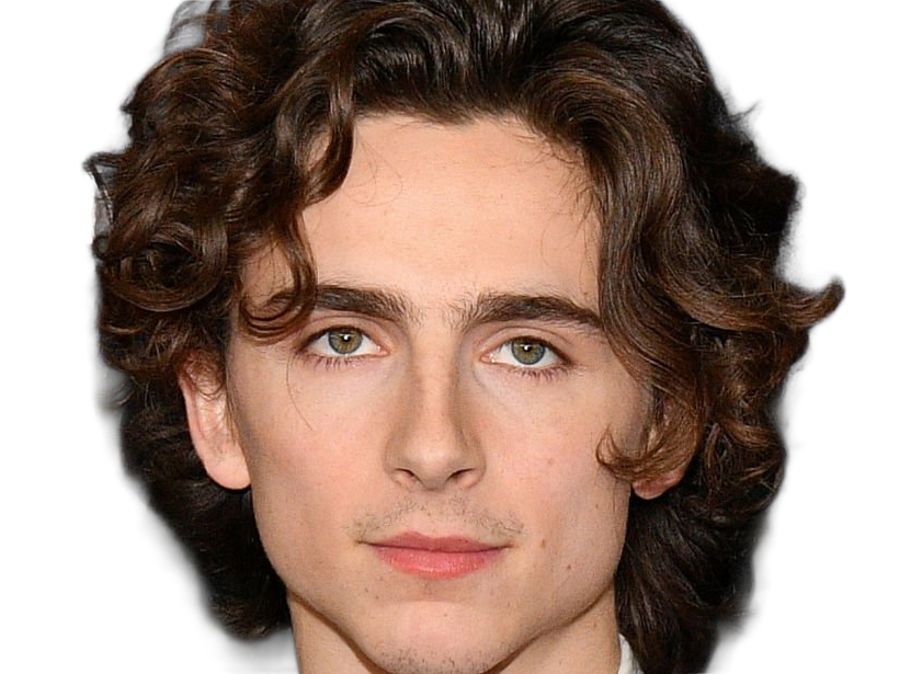 Sticker timothe chalamet acteur americain francais cinema homme vingtenaire vingtaine cheveux bruns cheveux boucles yeux verts 2019 par Dark-63