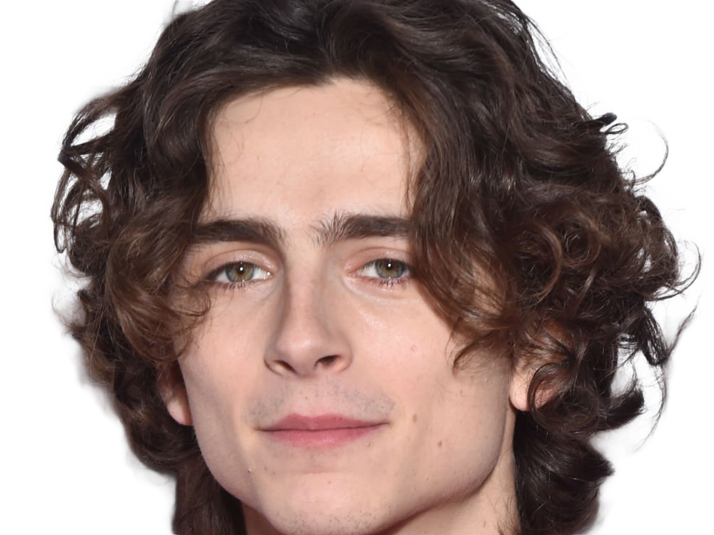 timothe chalamet acteur americain francais cinema homme vingtenaire vingtaine cheveux-bruns cheveux-boucles yeux-verts 2019