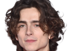 timothe-chalamet-acteur-americain-francais-cinema-homme-vingtenaire-vingtaine-cheveux-bruns-cheveux-boucles-yeux-verts-2019
