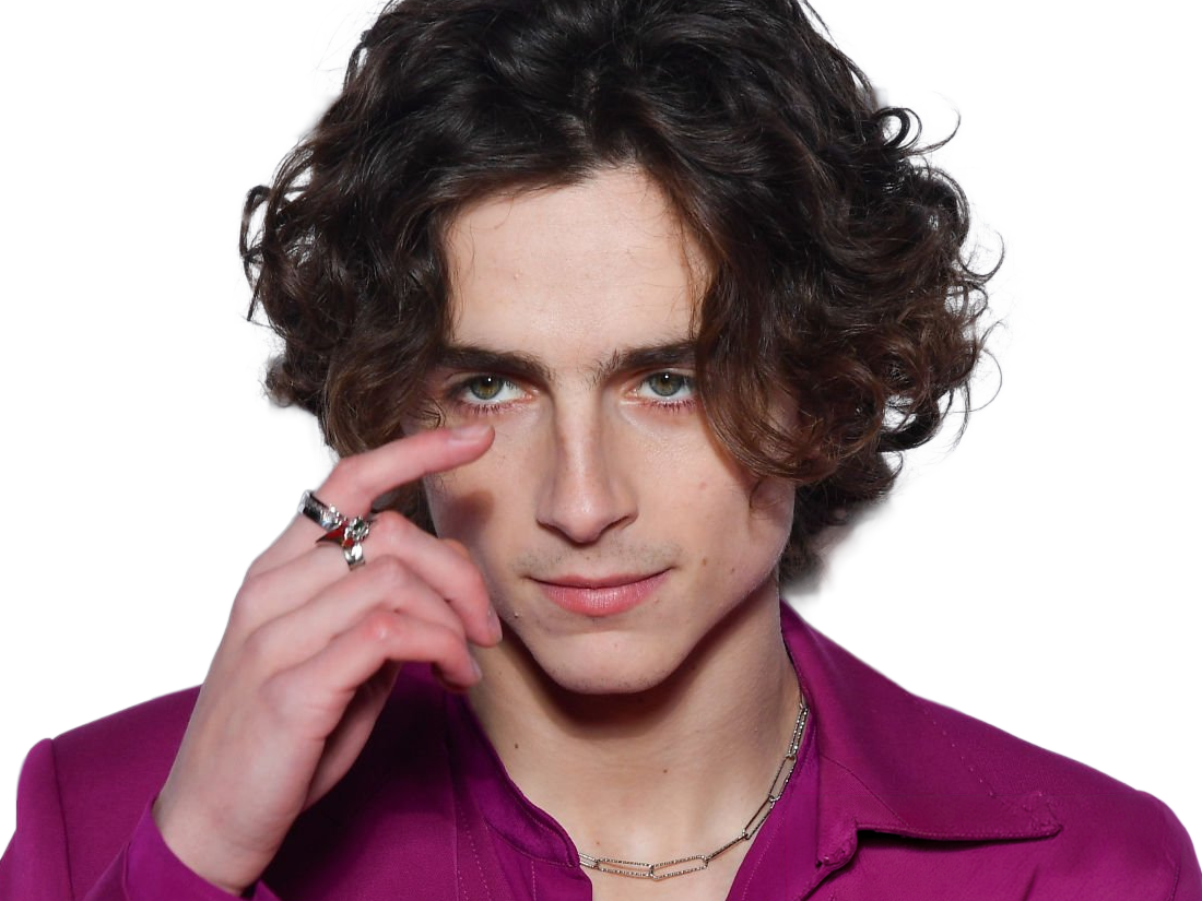 Sticker timothe chalamet acteur americain francais cinema homme vingtenaire vingtaine cheveux bruns cheveux boucles yeux verts 2019 par Dark-63