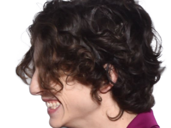 Sticker timothe chalamet acteur americain francais cinema homme vingtenaire vingtaine cheveux bruns cheveux boucles yeux verts 2019 par Dark-63