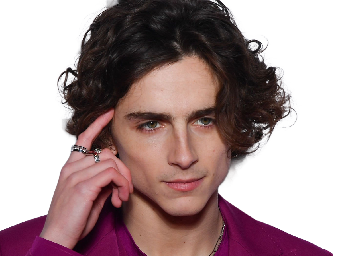 Sticker timothe chalamet acteur americain francais cinema homme vingtenaire vingtaine cheveux bruns cheveux boucles yeux verts 2019 par Dark-63