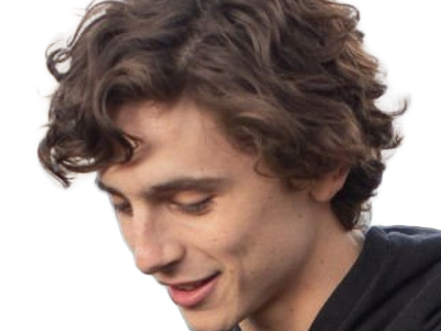 Sticker timothe chalamet acteur americain francais cinema homme vingtenaire vingtaine cheveux bruns cheveux boucles yeux verts 2019 par Dark-63