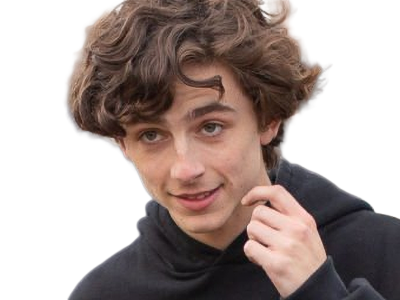 Sticker timothe chalamet acteur americain francais cinema homme vingtenaire vingtaine cheveux bruns cheveux boucles yeux verts 2019 par Dark-63