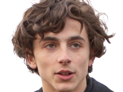 timothe chalamet acteur americain francais cinema homme vingtenaire vingtaine cheveux-bruns cheveux-boucles yeux-verts 2019